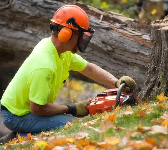 tree services West Nyack